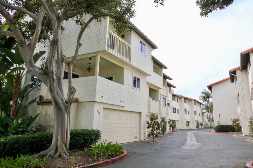 La Jolla Village Tennis Club Condos Lofts Townhomes For Sale La